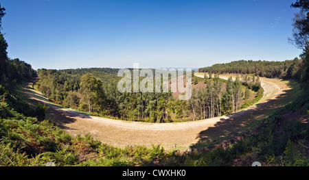 The location of the old A3 London to Portsmouth road at Hindhead, shortly after being restored back to heathland. Sept 2012. Stock Photo