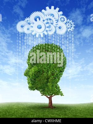 Cloud computing intelligence growth as a green tree in the shape of a human head growing intelligent from information raining down from an internet server cloud made of gears and cogs of data to educate and train. Stock Photo