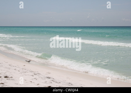 panama city beach florida gulf coast emerald seas crystal clear water Stock Photo