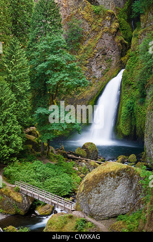 Wahclella Falls, Columbia River Gorge National Scenic Area, Oregon. Stock Photo