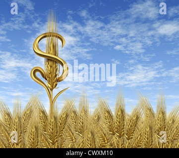 Money crop and cash farming industry concept representing the finances and profits earned in the business for farmers and the agricultural sector of the food market as a single wheat plant in the shape of a dollarsign on a harvest time farm field with sky Stock Photo