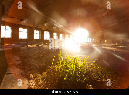 Whetley Mills in Thornton Road Bradford. Whetley Mills were built in 1865. Stock Photo