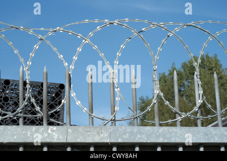 Looking up at coils of razor wire on top of a gate with metal spikes against blue sky Stock Photo