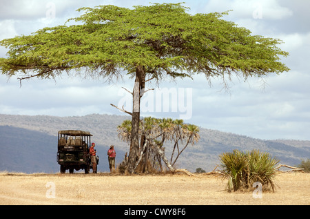Tourists on a jeep safari stop for breakfast under an acacia tree, the Selous game Reserve Tanzania Africa Stock Photo
