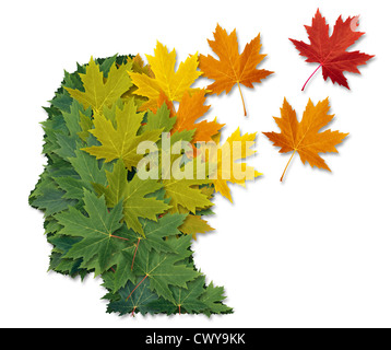 Mental illness and Alzheimer's disease as a health care and medical symbol with a human head made of green leaves turning to falling autumn foliage lost in to the wind. Stock Photo
