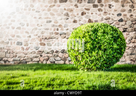 Wall made of big stones in rural style as background. Big bush on the green lawn with trimmed grass. Round shape of plant. Idyll Stock Photo