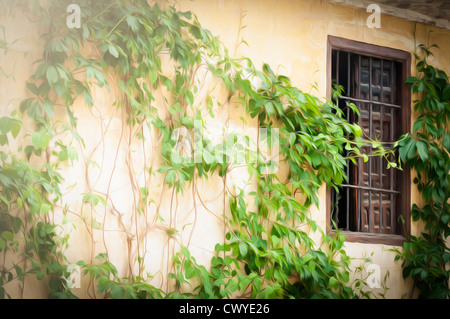 Yellow old wall with green plants as decoration. Brown open window with bars. Rural house in Andalucia, Spain. Beautiful Stock Photo