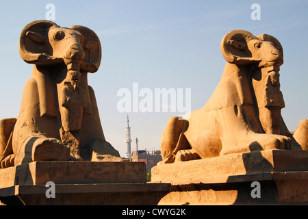 Alley of Aries Sphinx at the entrance of the Temple of Karnak, Egypt Stock Photo