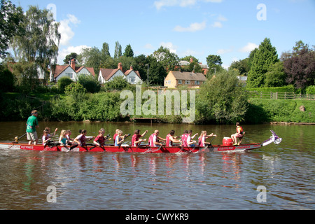 Dragon Boat racing  River Severn Worcester Worcestershire England UK Stock Photo