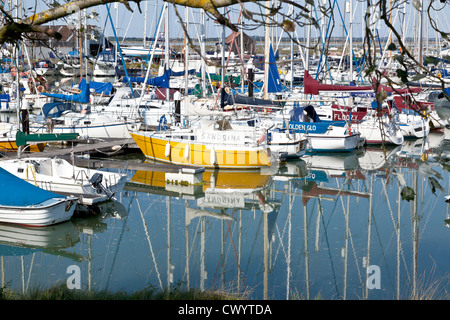 Yachts Moored in Marina at Tollesbury Stock Photo