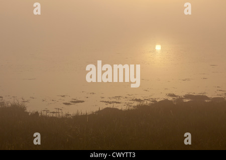Misty Dawn with Sun Reflecting Off Calm Sea Stock Photo