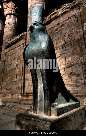 Statue of Horus in front of relief and hieroglyphs in the inner courtyard of the Horus Temple, Edfu, Egypt Stock Photo