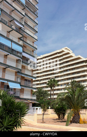 Calpe, Paseo Maritimo and Levant Beach, Calpe, Costa Blanca, hotel, tower-block, palm tree Stock Photo