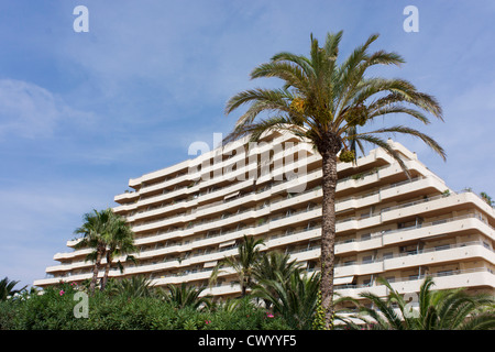 Calpe, Paseo Maritimo , hotel and palm tree Stock Photo