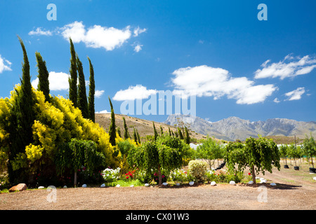 landscape in Robertson, Western Cape, South Africa Stock Photo