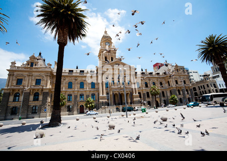 pigeons flying over city hall of cape town, south africa Stock Photo