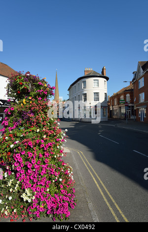 View from Penel Orlieu showing spire of St Mary's Church , Bridgwater, Somerset, England, United Kingdom Stock Photo