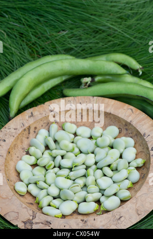Broad beans in a wooden bowl in long grass Stock Photo