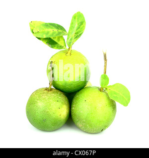 three lemon on white background Stock Photo