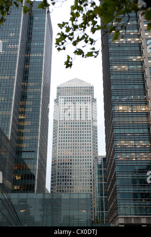 Canary Wharf and other skyscrapers on the Isle of Dogs, London Stock ...