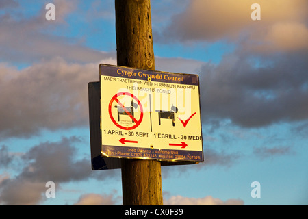 Sign showing area where dogs are not allowed, Aberdyfi (Aberdovey) beach (evening), Dyfi estuary, Gwynedd, North Wales, UK Stock Photo