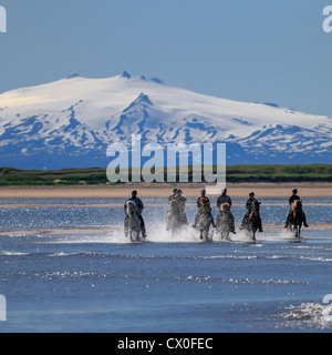 Horseback riding on Longufjordur, Snaefellsjokull Glacier in the background Snaefellsnes Peninsula,  Iceland Stock Photo