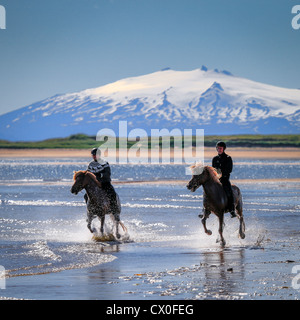Horseback riding on Longufjordur, Snaefellsjokull Glacier in the background Snaefellsnes Peninsula,  Iceland Stock Photo