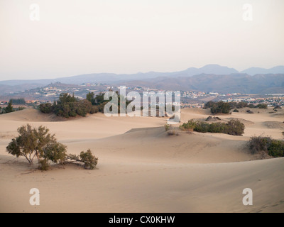 Dunes de Maspalomas is a nature reserve in the middle of tourist resort in Gran Canaria,houses hills and mountains in background Stock Photo