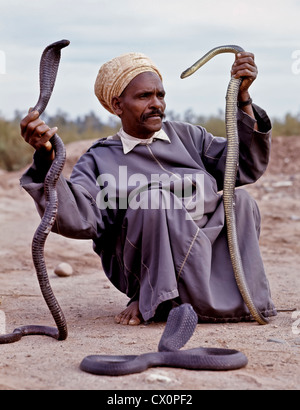 8263. Snake Charmer, Marrakesh, Morocco Stock Photo