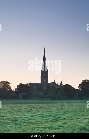 Looking across the west harnham water meadows towards Salisbury cathedral at dawn. Stock Photo