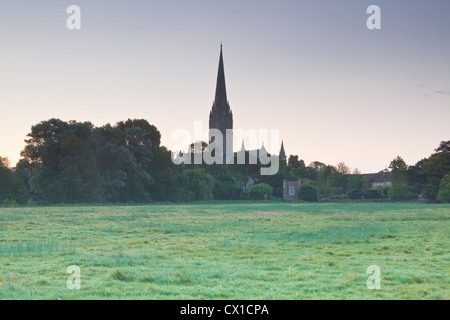 Looking across the west harnham water meadows towards Salisbury cathedral at dawn. Stock Photo