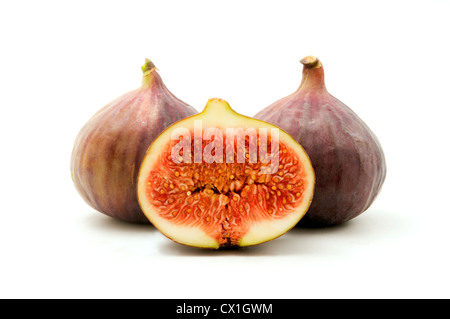 Brown turkey fig on a white background Stock Photo