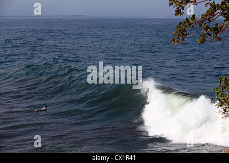 Local girl surfing alone in big waves at Batu Karas in West Java, Indonesia. Stock Photo