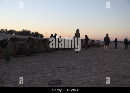 Morning in Sahara desert Stock Photo