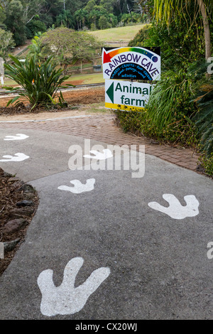 Walking path with painted emu feet at the Big Pineapple Tourist attraction on Queensland's Sunshine Coast. Stock Photo