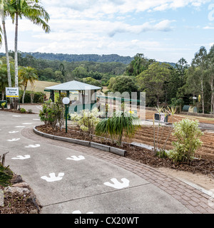 Walking path with painted emu feet at the Big Pineapple Tourist attraction on Queensland's Sunshine Coast. Stock Photo