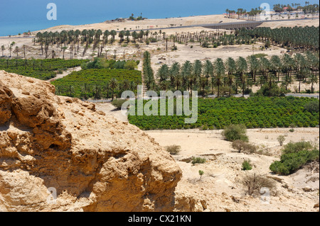 View of the Dead Sea from the slopes of the Judean Mountains in the area of the reserve of Ein Gedi Stock Photo