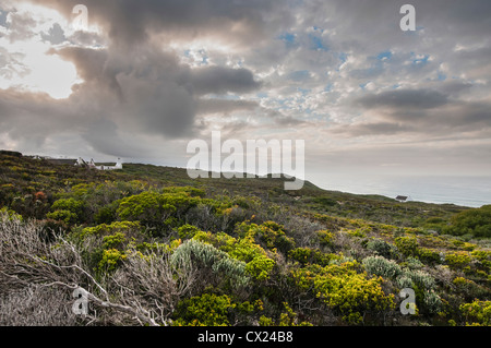 Landscape of Cape Dutch Style Cottage in South Africa Stock Photo