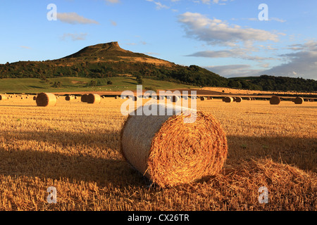 Hay bales & a summertime view of Roseberry Topping, the distinctive hill in the North York Moors National Park, North Yorkshire. Stock Photo