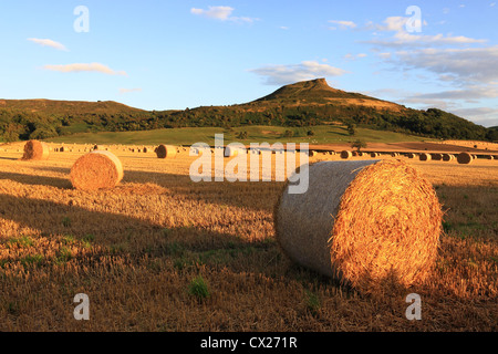 Hay bales & a summertime view of Roseberry Topping, the distinctive hill in the North York Moors National Park, North Yorkshire. Stock Photo