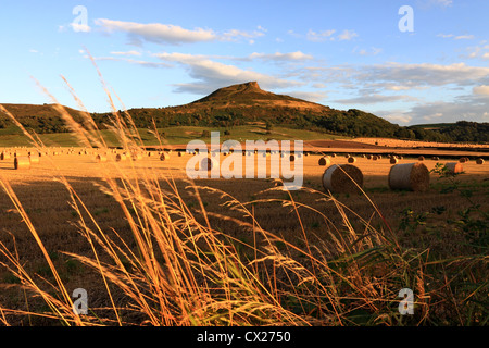 Hay bales & a summertime view of Roseberry Topping, the distinctive hill in the North York Moors National Park, North Yorkshire. Stock Photo