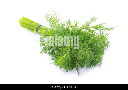 Dill on a white background Stock Photo