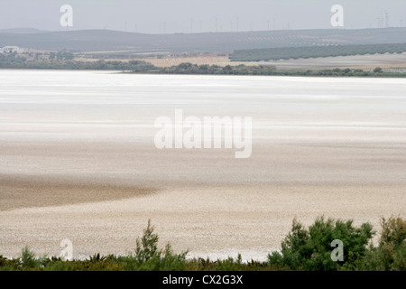 Salt flats of the Lagoon of Fuente de Piedra, Andalusia Spain. Stock Photo