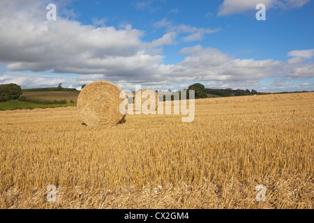 An agricultural landscape of the Yorkshire wolds with two large round straw bales in a stubble field under a cloudy sky Stock Photo