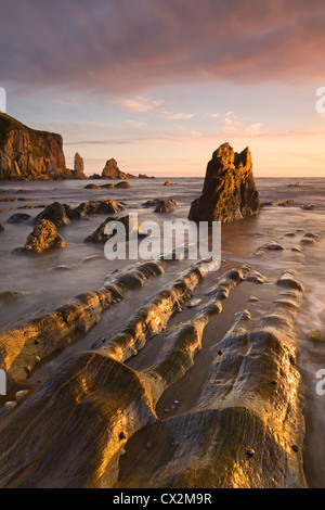 Golden evening sunlight bathes the rocks and ledges at Bantham in the South Hams, Devon, England. Autumn (September) 2010. Stock Photo