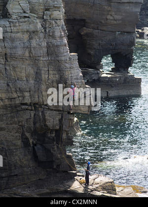 dh Seacliffs scotland YESNABY ORKNEY Ascending rock climber a ledge scaling cliff climbing cliffs man uk rope sea person on coastal rocks Stock Photo