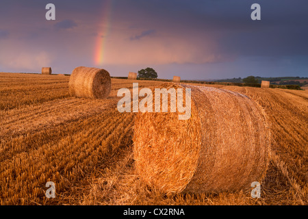 Hay Bales in a harvested field with rainbow overhead, Eastington, Devon, England. Summer (August) 2012. Stock Photo