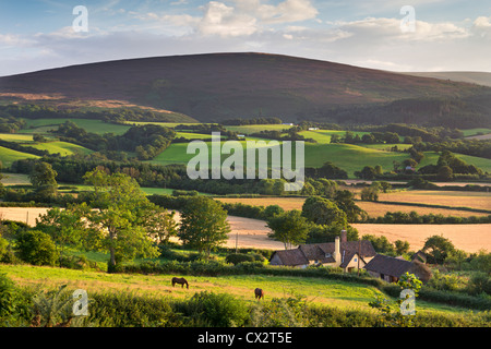 Farmhouse surrounded by rolling Exmoor countryside, Somerset, England. Summer (August) 2012. Stock Photo