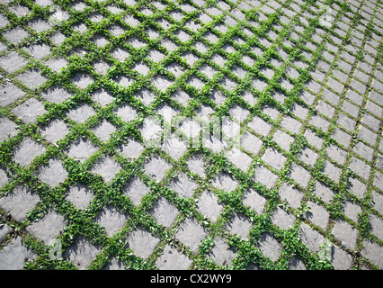 Abstract background texture. Grass grows through the road paving Stock Photo