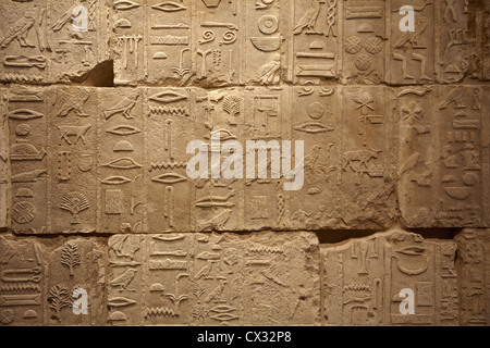 Ancient Hieroglyphic Script Stock Photo - Alamy